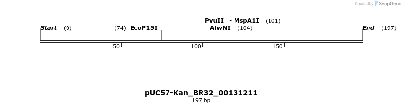 230760_map