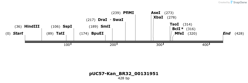 230762_map