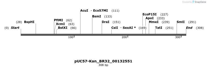 230764_map