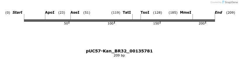 230768_map