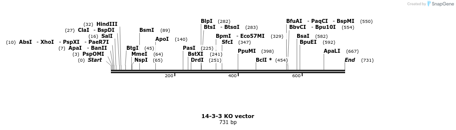 23077_map