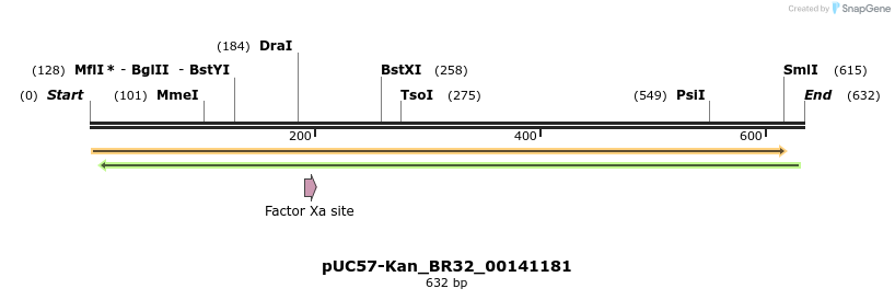 230774_map