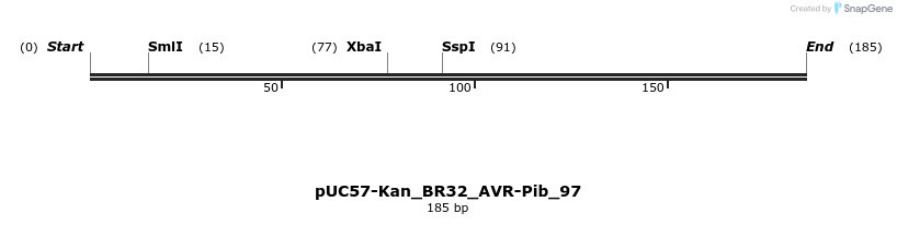 230778_map