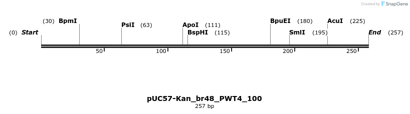 230780_map