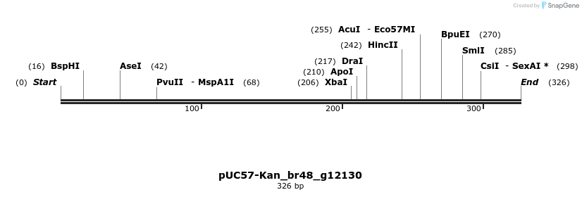 230782_map