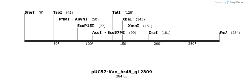 230784_map