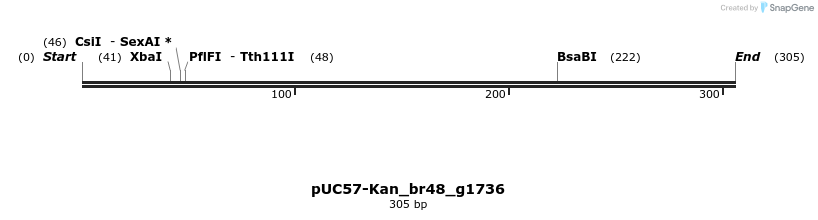 230786_map