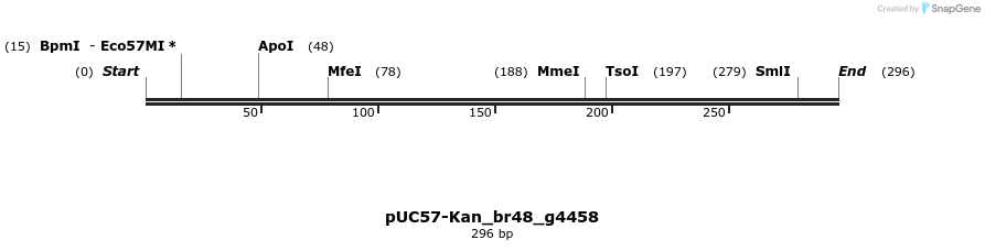 230788_map