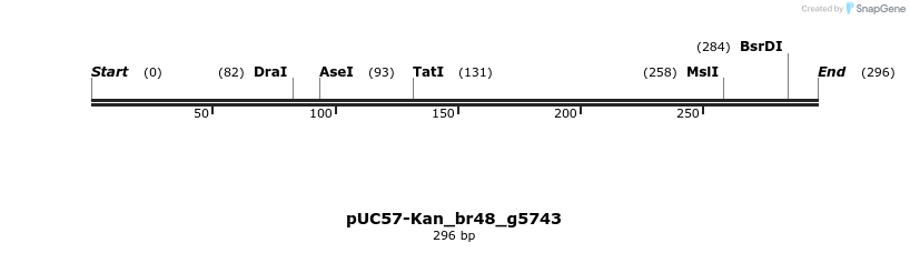 230790_map