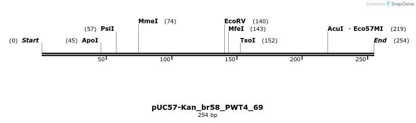 230798_map