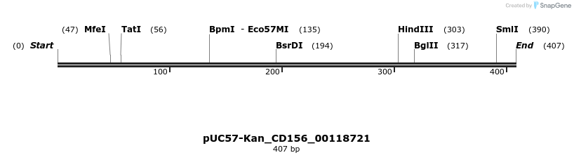 230808_map
