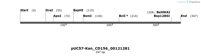 230810_map