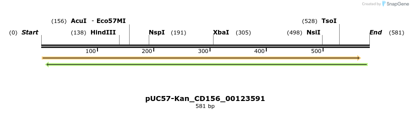 230814_map
