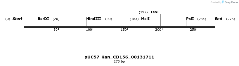 230816_map