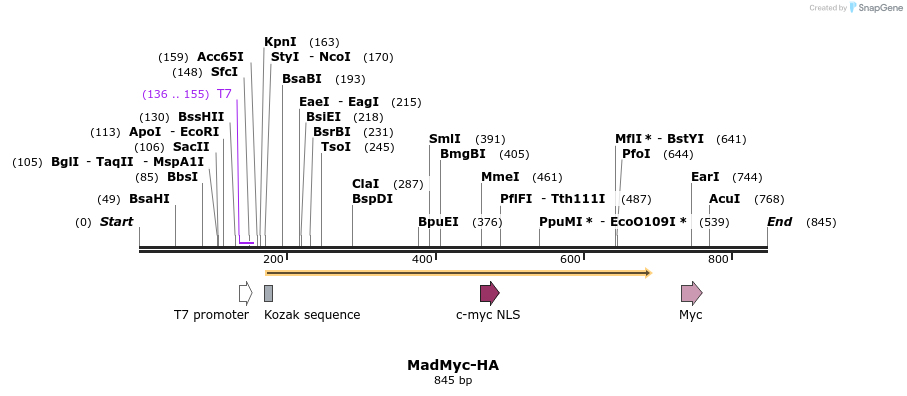 23082_map