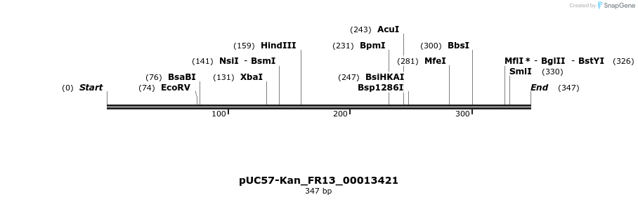 230838_map