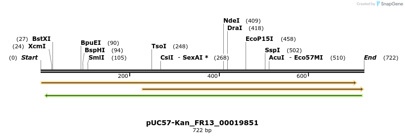 230840_map