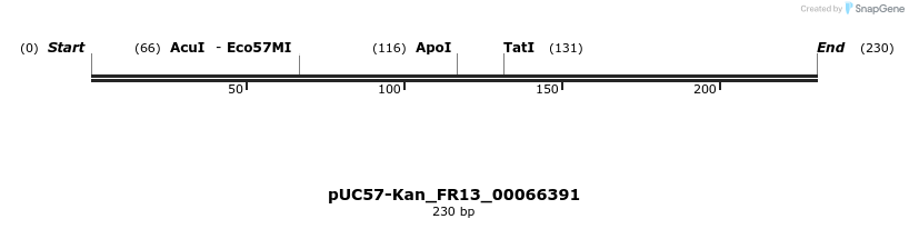 230854_map