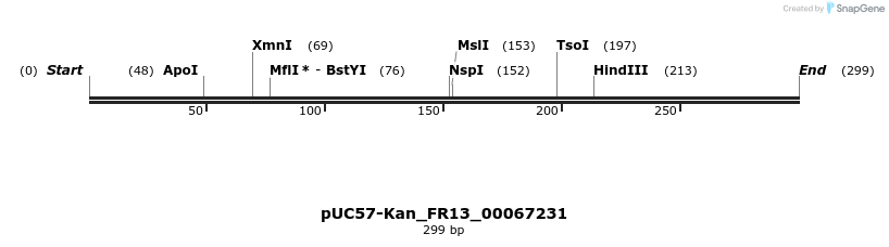 230856_map