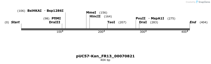 230862_map