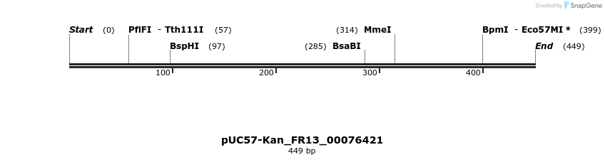 230864_map