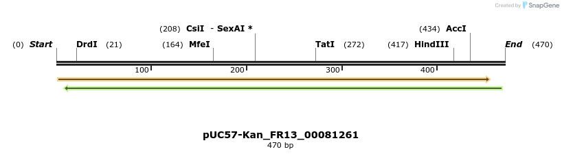 230868_map
