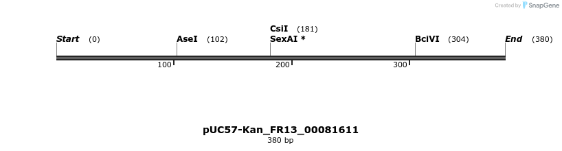 230870_map