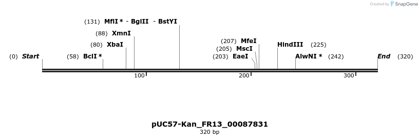 230872_map