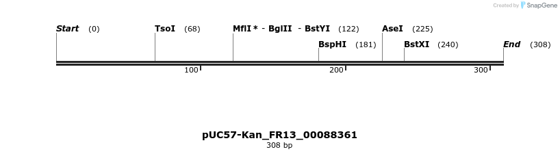 230874_map