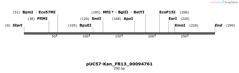 230882_map