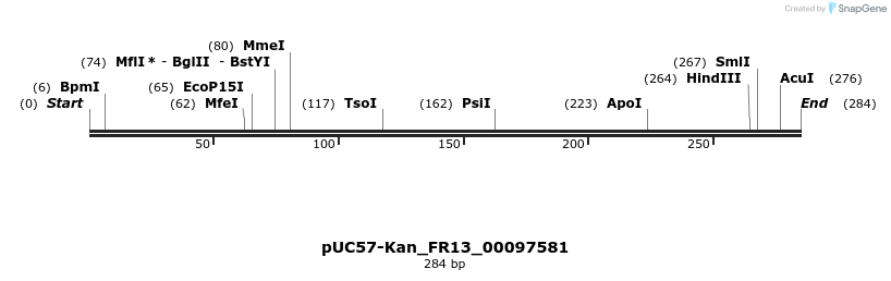 230884_map