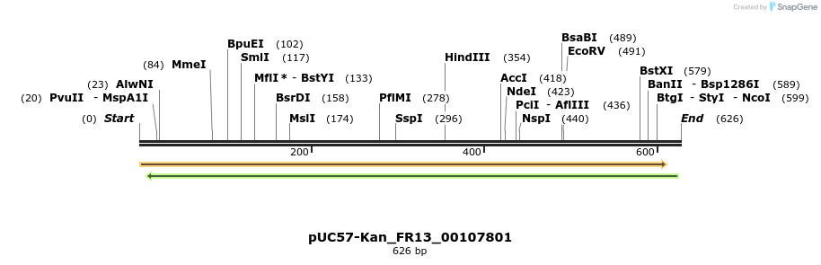 230896_map
