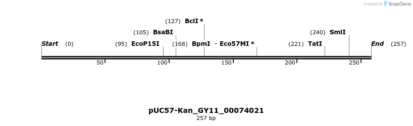 230938_map