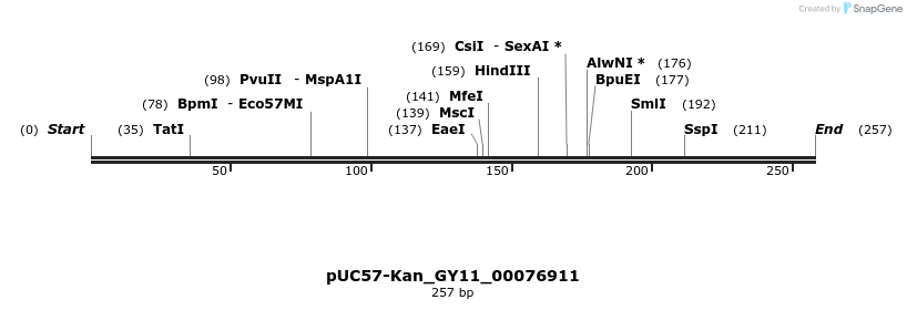 230940_map