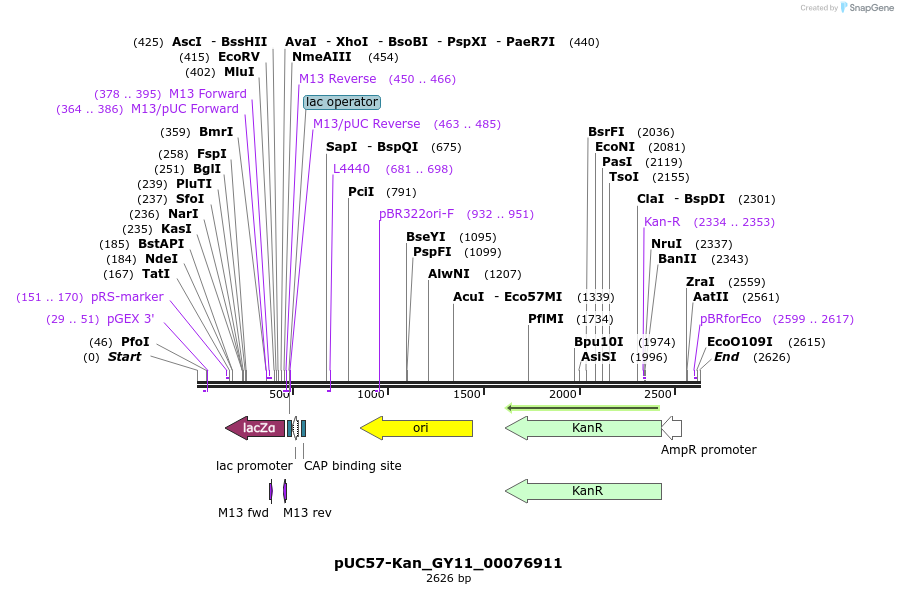 230941_map