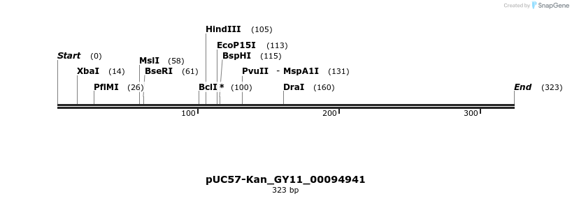 230944_map