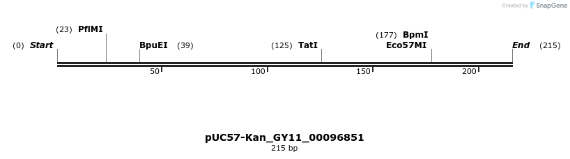 230946_map