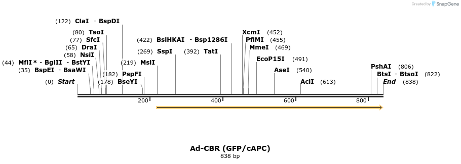 23095_map