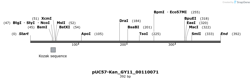 230950_map