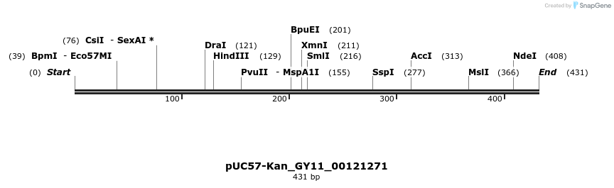 230952_map