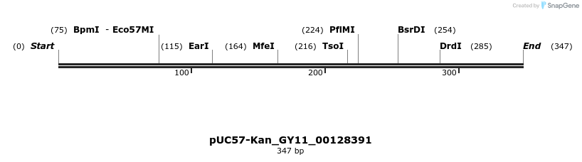 230956_map