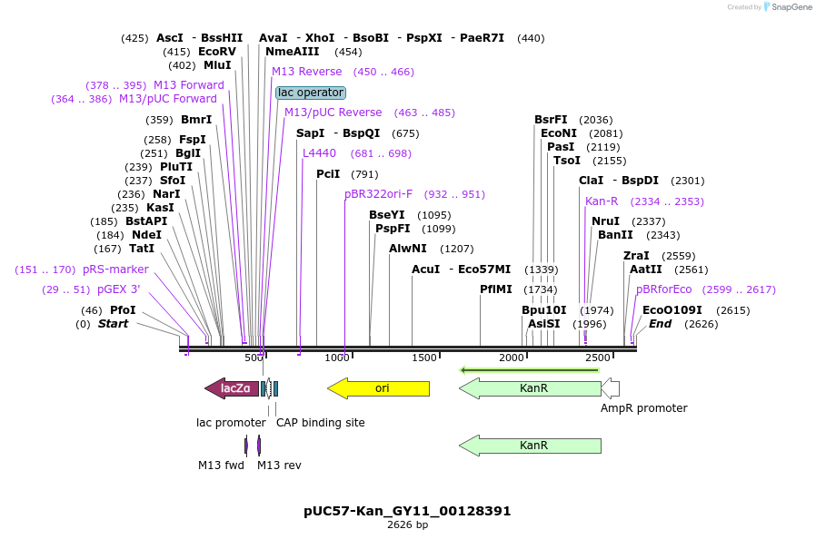230957_map