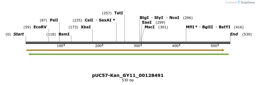 230958_map