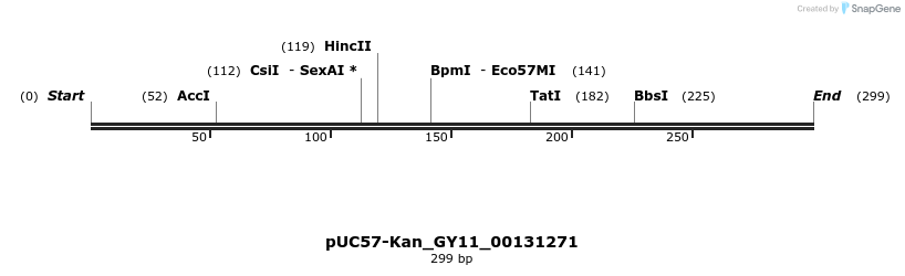 230962_map