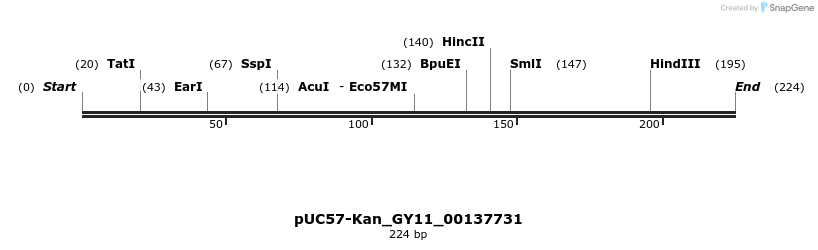 230964_map