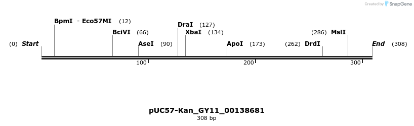 230966_map