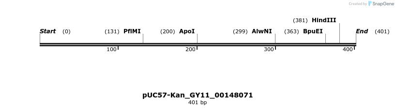 230968_map