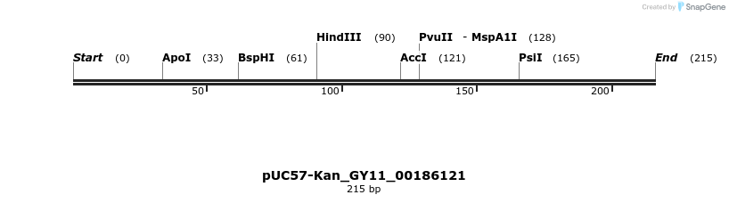 230970_map