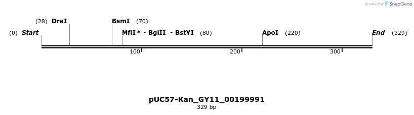 230972_map
