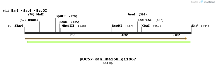 230974_map